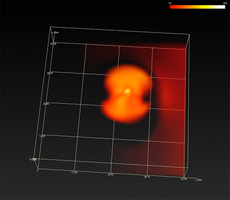 3D CARS image of liquid crystal 8CB structure on resonant frequency 2236 cm-1 Structure of liquid crystal