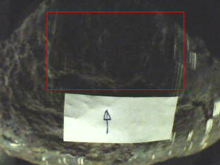 Figure 2. Scan areas are marked with red1.png