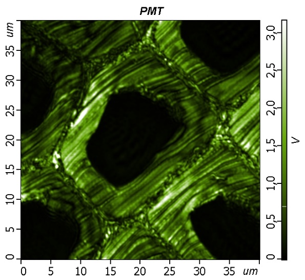 The sample represent cross.jpg