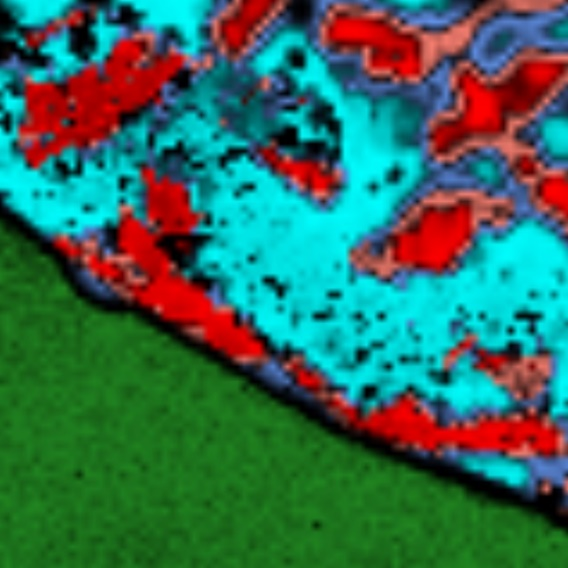 Ascophenum Raman mapping