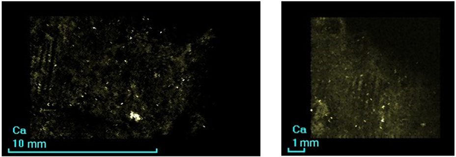 Figure 7. Ca distribution.png