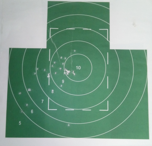 Figure 1. Shooting target with bullet holes.png