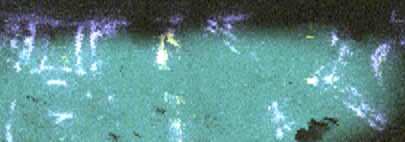 Figure 9. Au (yellow), Ag (purple) and Fe (green) distribution.png