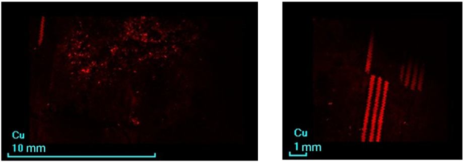 Figure 5. Cu distribution.png