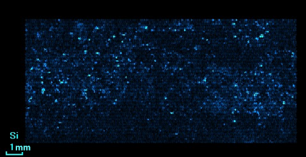 Fig. 7. Distribution of silicon.png