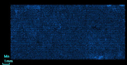 Fig. 9. Distribution of manganese.png