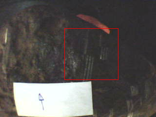 Figure 2. Scan areas are marked with red2.png