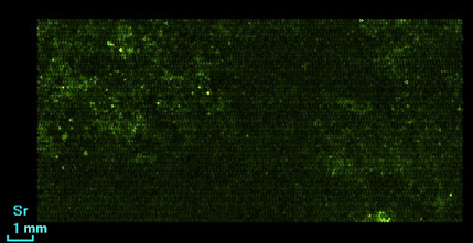 Fig. 10. Distribution of strontium.png