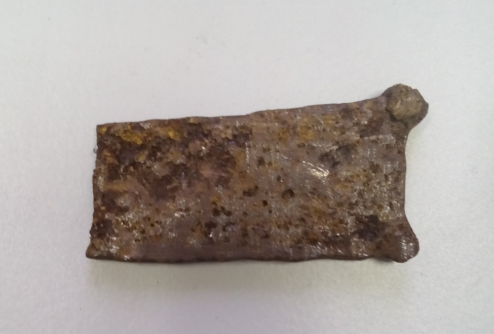 Fig. 1. Photo of a link of a nomad belt.png