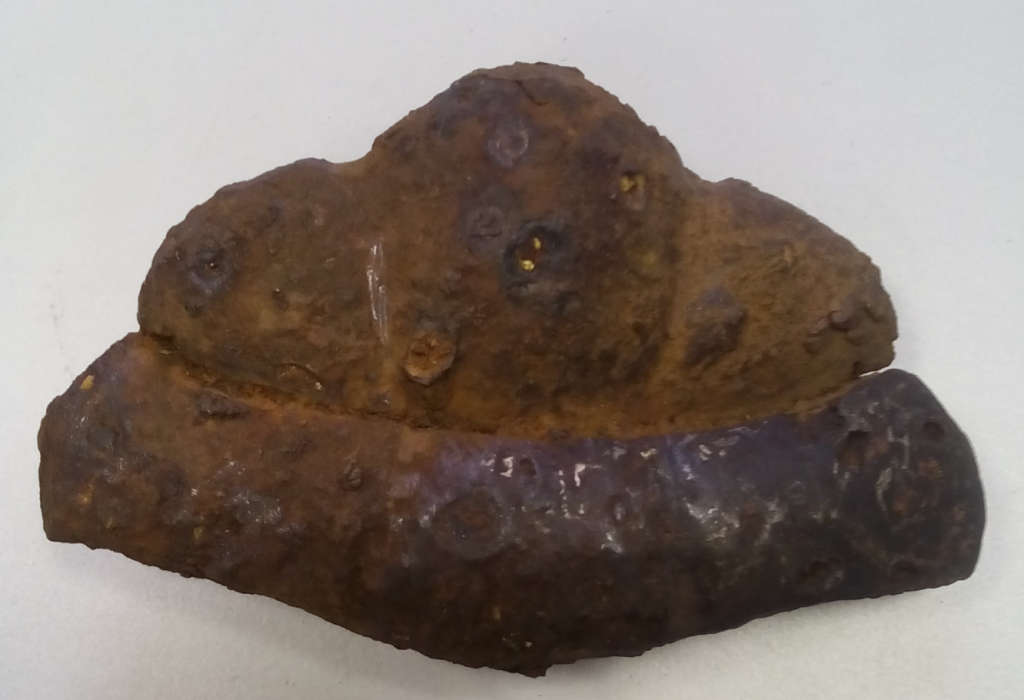 Figure 1. Photo of the sample.png