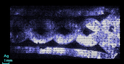 Fig. 4. Distribution of silver.png