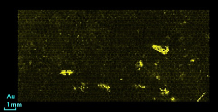 Fig. 3. Distribution of gold.png