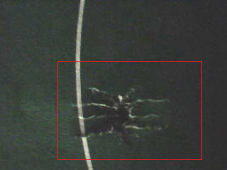 Figure 2. Optical image from built-in video camera with highlighted scan area.png