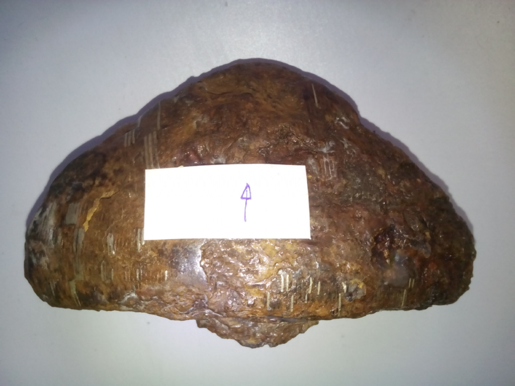 Figure 1. Photo of the sample1.png