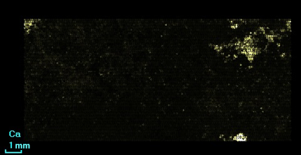 Fig. 6. Distribution of calcium.png