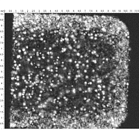 Bulk microstructure and local elastic properties of carbon nanocomposites  studied by Impulse Acoustic Microscopy technique