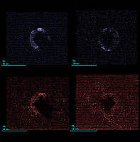 MicroXRF analysis of the gunshot residuals