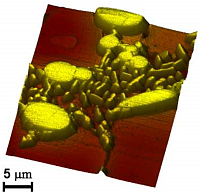 NIOS Nanomechanical Testers:  Metal-ceramic and polymer applications